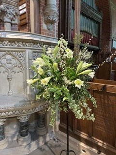 IMG 4557
